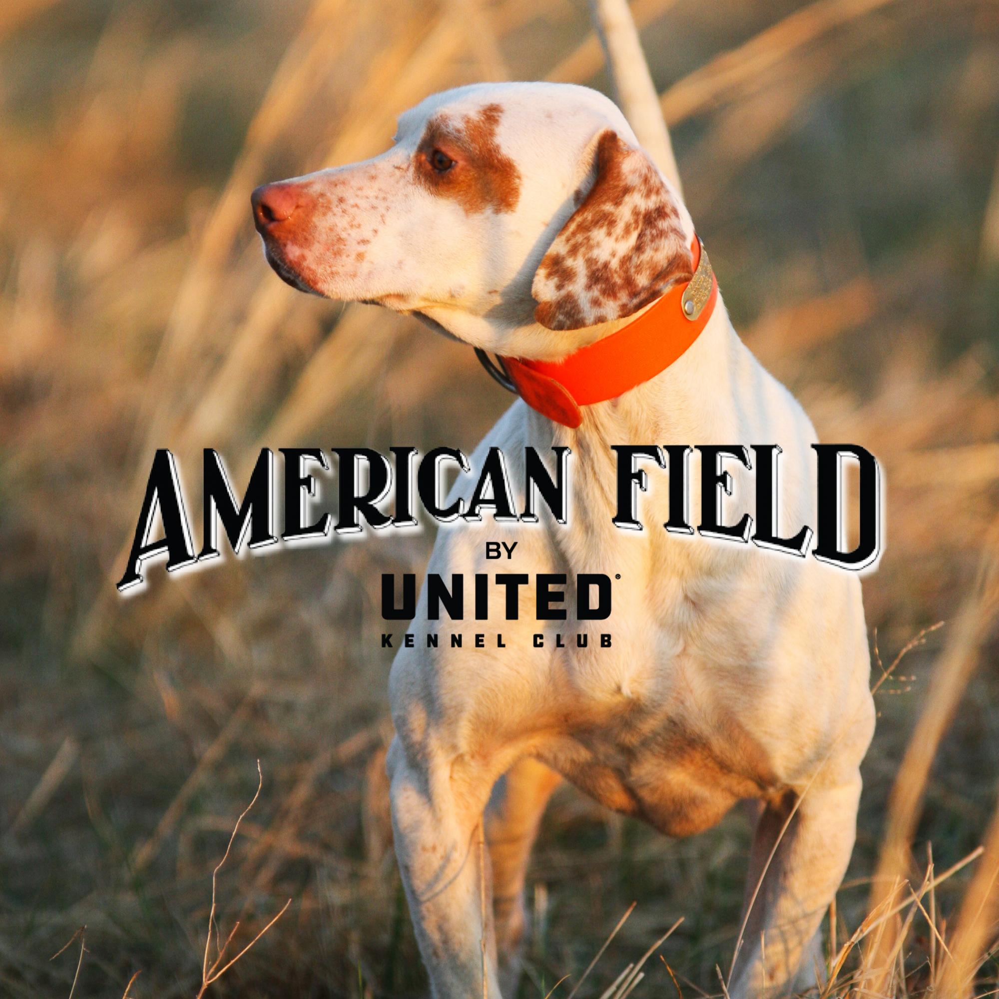 UKC Acquired American Field Sept 1, 2021