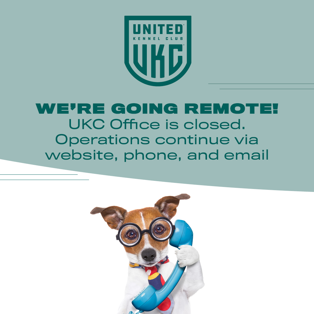 UKC office to work remotely