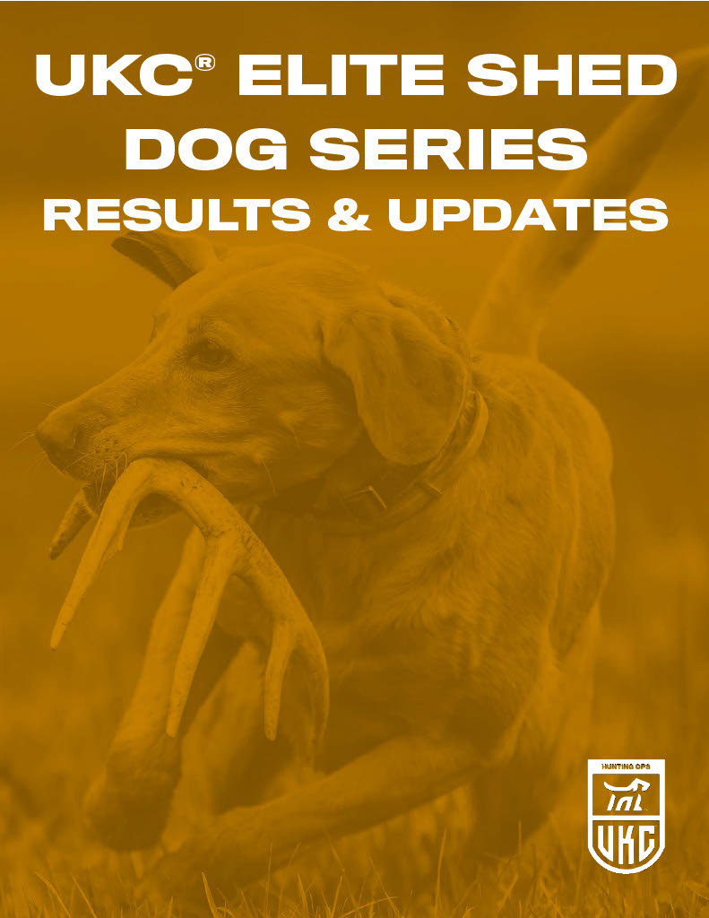 Elite Shed Dog Series Recap