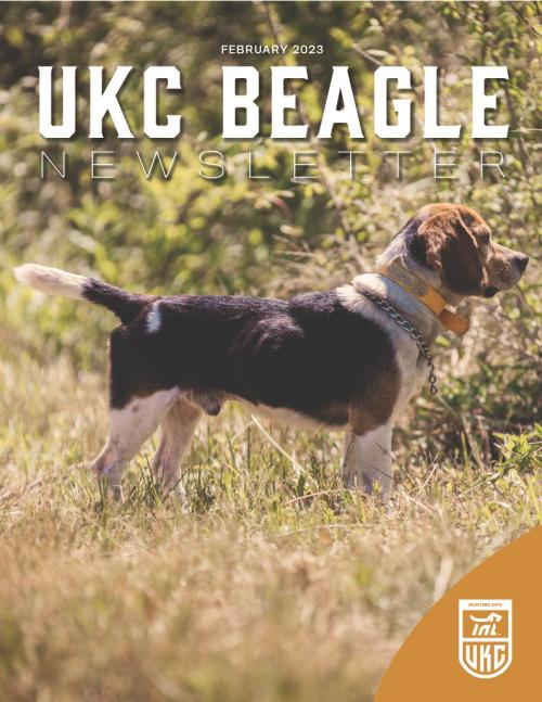 Beagle Newsletter Cover February 2023