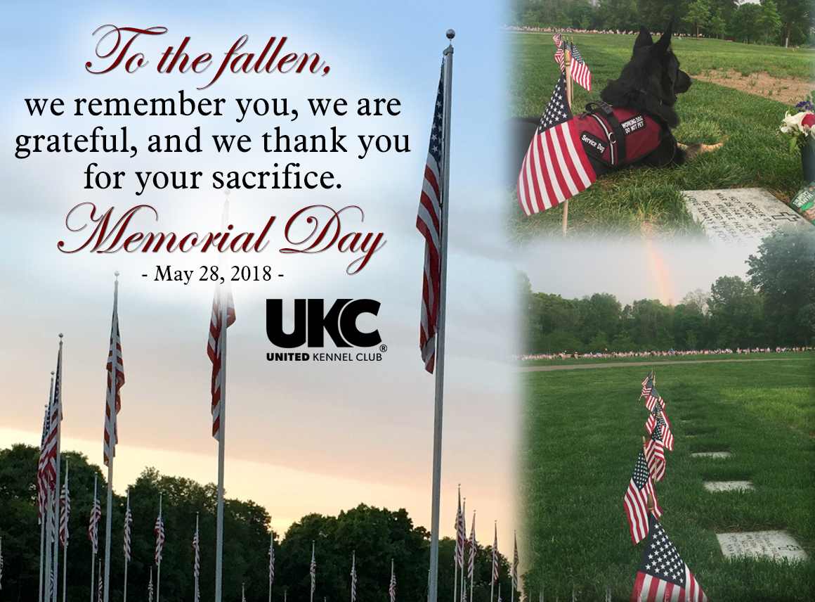 UKC Closed on Memorial Day