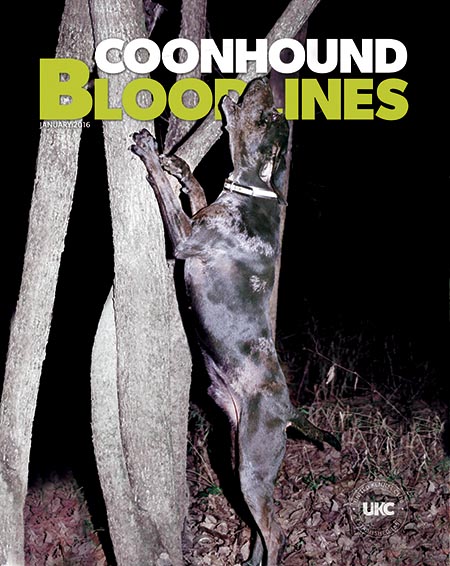 Coonhound Bloodlines Magazine Cover