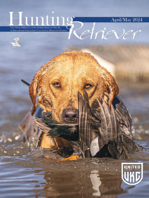 Hunting Retriever - April/May 2024