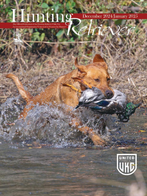 Hunting Retriever - December 2024/January 2025