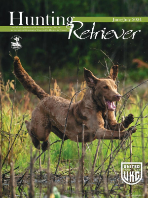 Hunting Retriever - June/July 2024