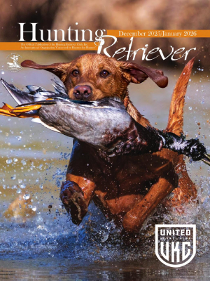 Hunting Retriever - December 2025/January 2026