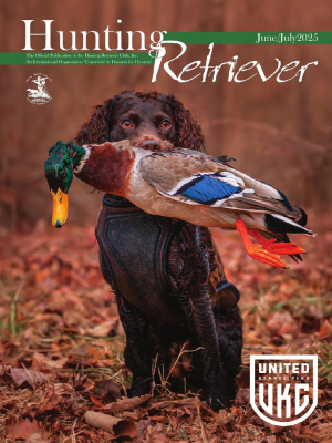 Hunting Retriever - June/July 2025