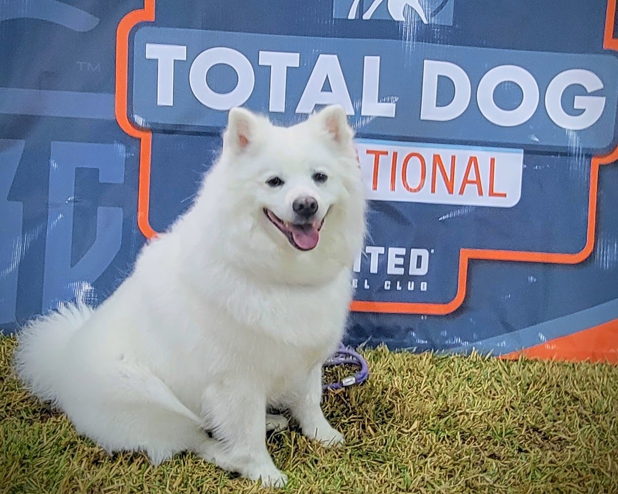 SD4 MI HOP NTD2 MC RUSH NHD SN UWP ADGCH RATO UACH RACES ROM EGCH'PR'DEBONAIR  ROCK STAR SPOT