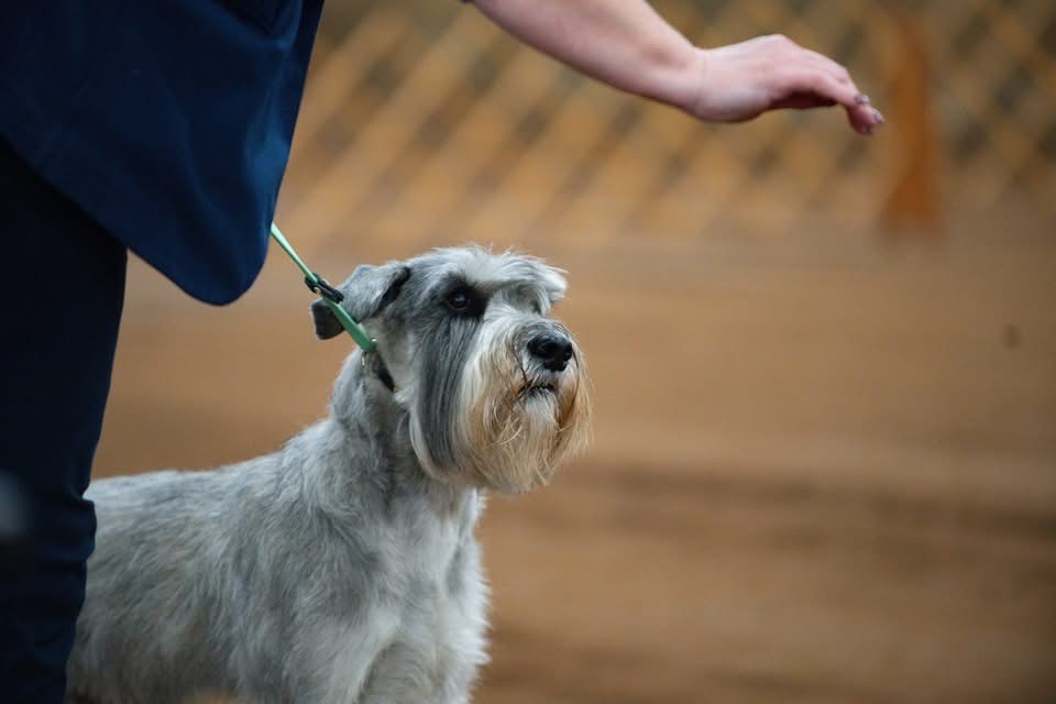 SD DASH UCD ALCH UWPV AP VPN NC URO1 BN UWPCH BERNSTEIN'S TEQUILA ON THE ROCK S