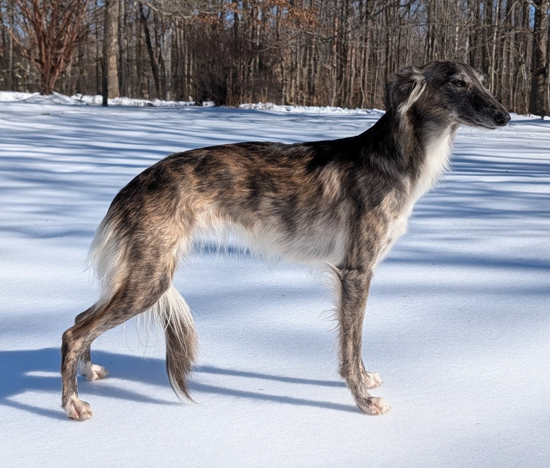 AP VPA IA ACD RACEN SD2 UWP NI AE NC RMX2 URX2 UROC LEAP DASH UCD BN RMC PN G RCH ARTEMIS ROAM (IF YOU WANT TO) SPOT-ON