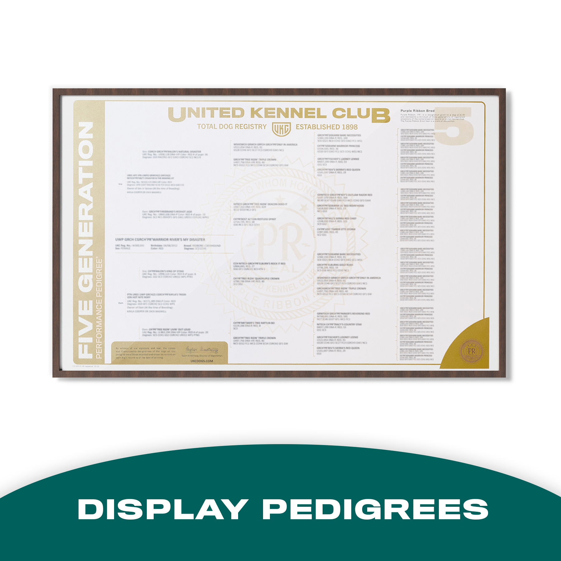 Display Pedigree