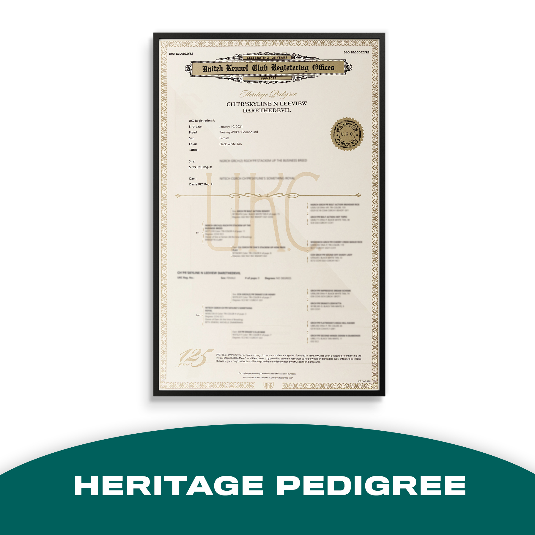 Heritage Pedigree