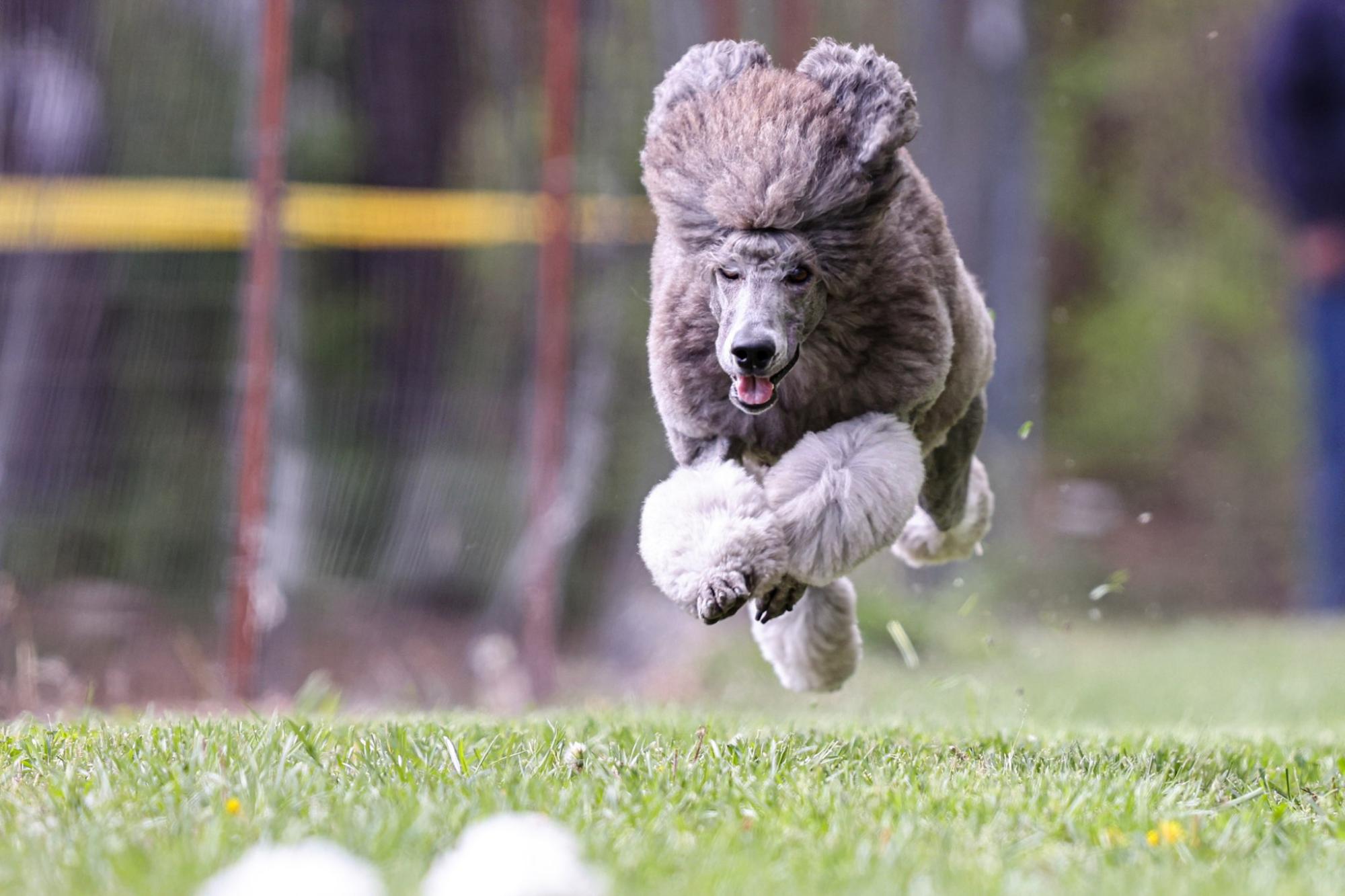 SD UWP USJCH ADGCH DASH CA RACEA URO1 EGCH WINTERSWIND MOONBEAMS ADVENTURE SP OT-ON