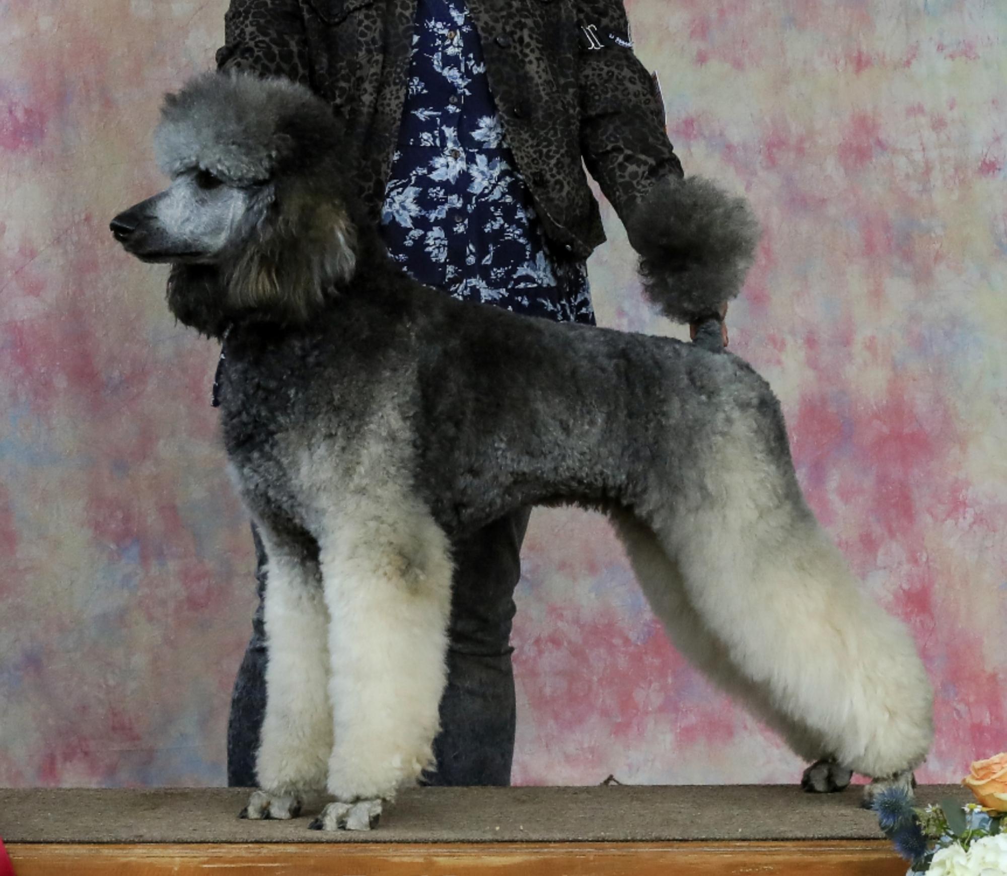 SD HOP CA RACEA UWPS NN PN AP4 VPE RUSH UGWPCH URO1 DGCH SAPPHIRES CRAZY LOVE  OF MINE SPOT-ON