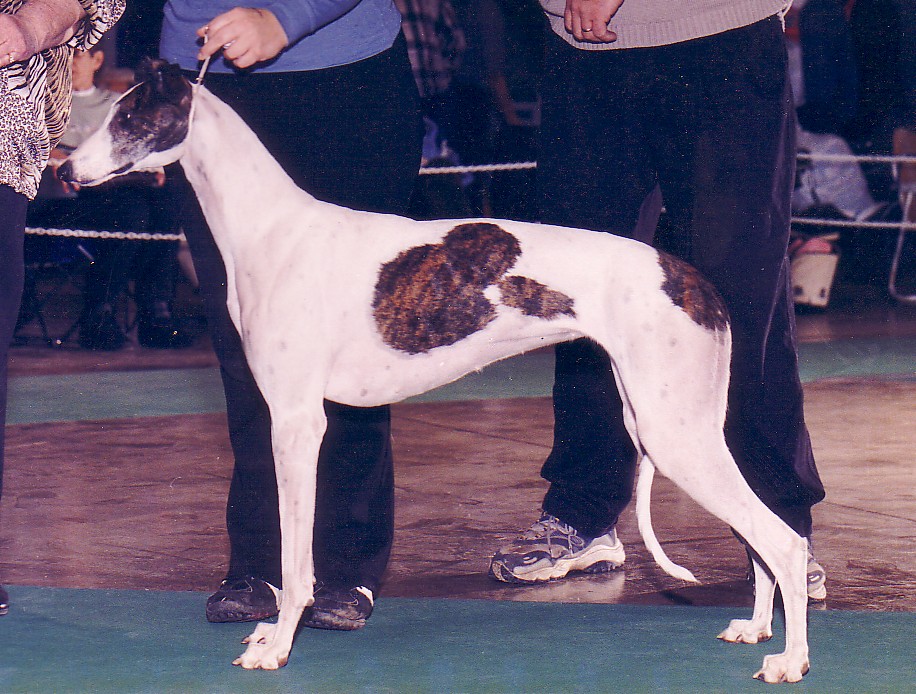 SD URX CTX OB1 URO3 UCD UAGI UWP GRCH LAKILANNI LOVE HER MADLY