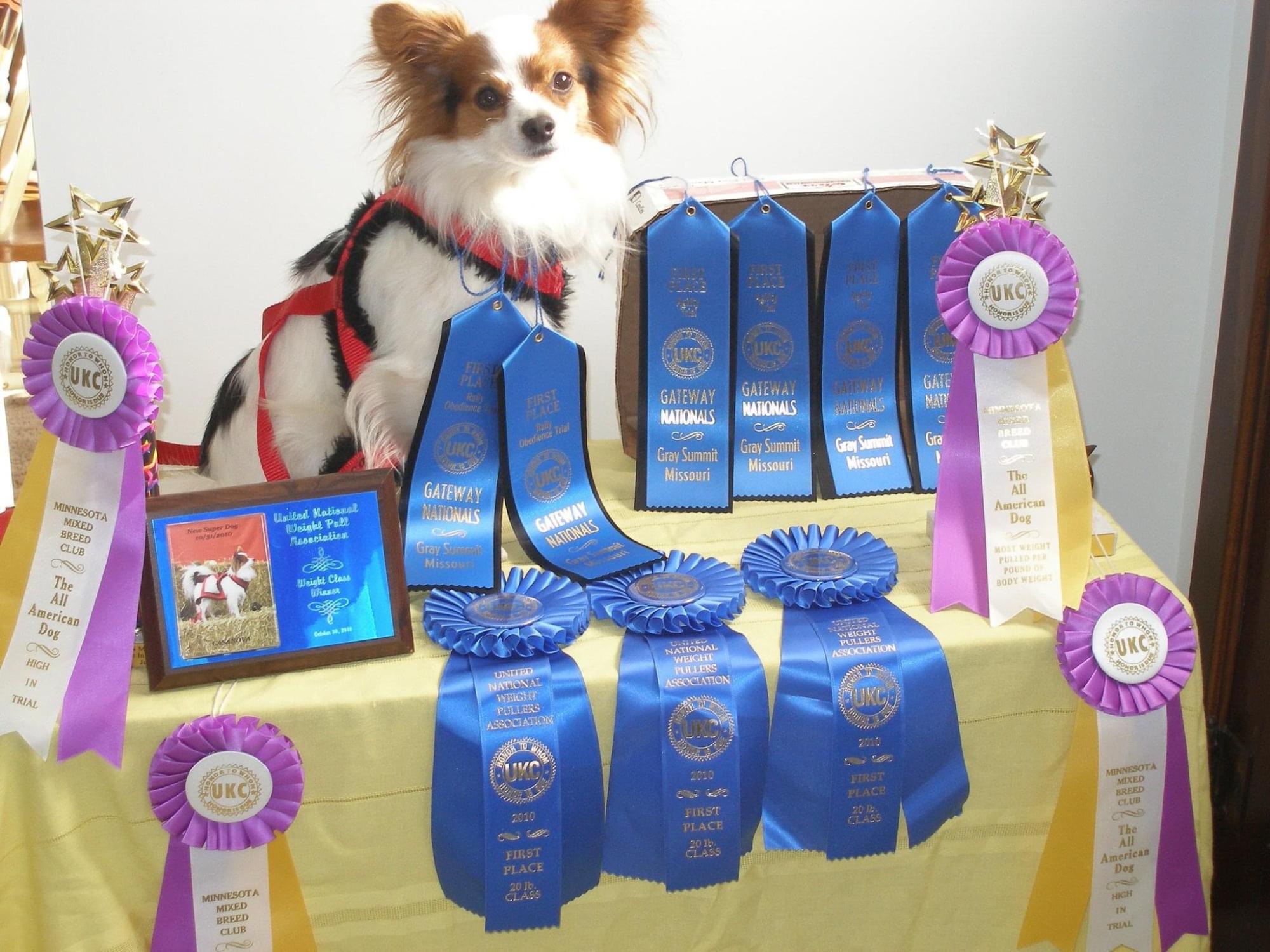 SD2 RATN USR UFCH UNJ UCDX UWPO CA UGRACH7 UGWPCH UROG FO GRCH URX3 CASANOVA' S MIDNIGHT SPIRIT SPOT-ON