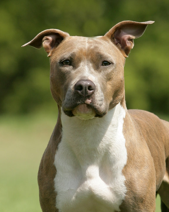 SD EE EC MN GJJCH UWP UCD URX4 UROG UGRACH5 CH JHNSNS TWINKLE TWINKLE LIL STA R SPOT