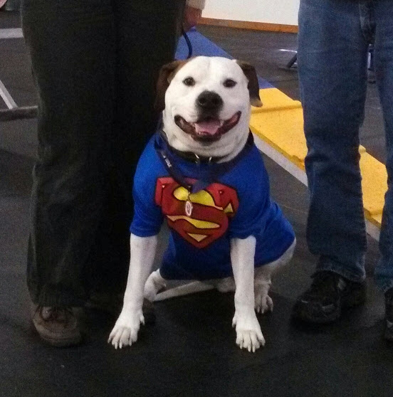 SD AV AC NN RATN UNJ UAGI UWP UCD URX CA UROC GRCH HD'S HUCKSTER THE CASANOVA SPOT-ON