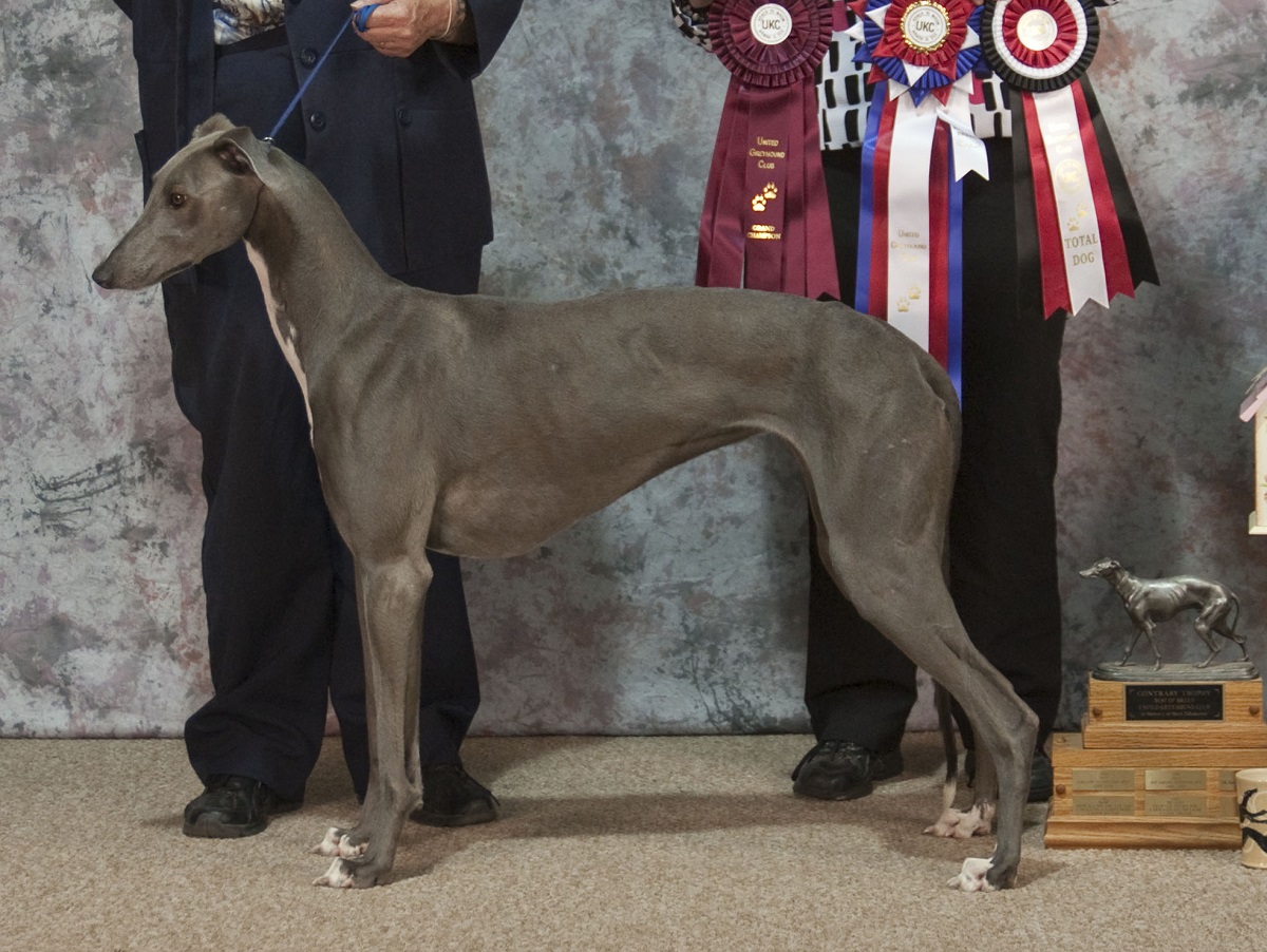 SD CTS3 CTX3 SC PTE AI UAGII URO3 GCM UWPCH GCB GRCH LAKILANNI BLUE JEAN BLUE S SPOT-ON