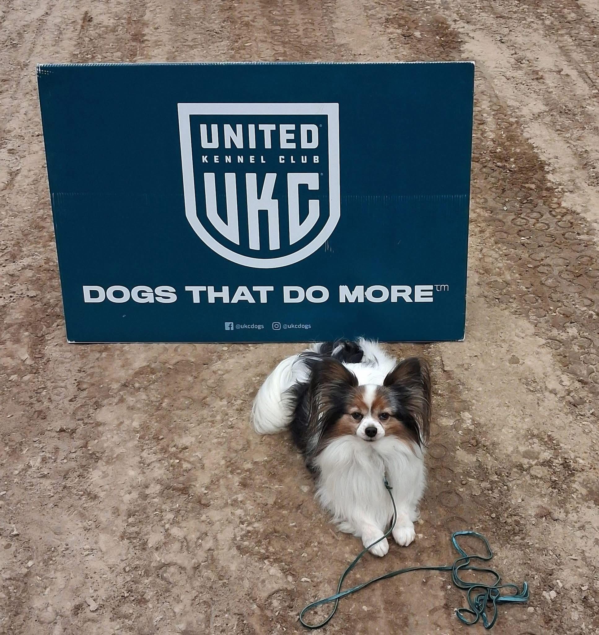 SD NTD JUMP FLY2 USCH ROM UFCH URX3 RATN UCD UGRACH2 UWP UROG EGCH VALENTINO  BY MONARCH SPOT-ON   SD NTD JUMP FLY2 USCH ROM UFCH URX3 RATN UCD UGRACH2 UWP UROG EGCH VALENTINO  BY MONARCH SPOT-ON