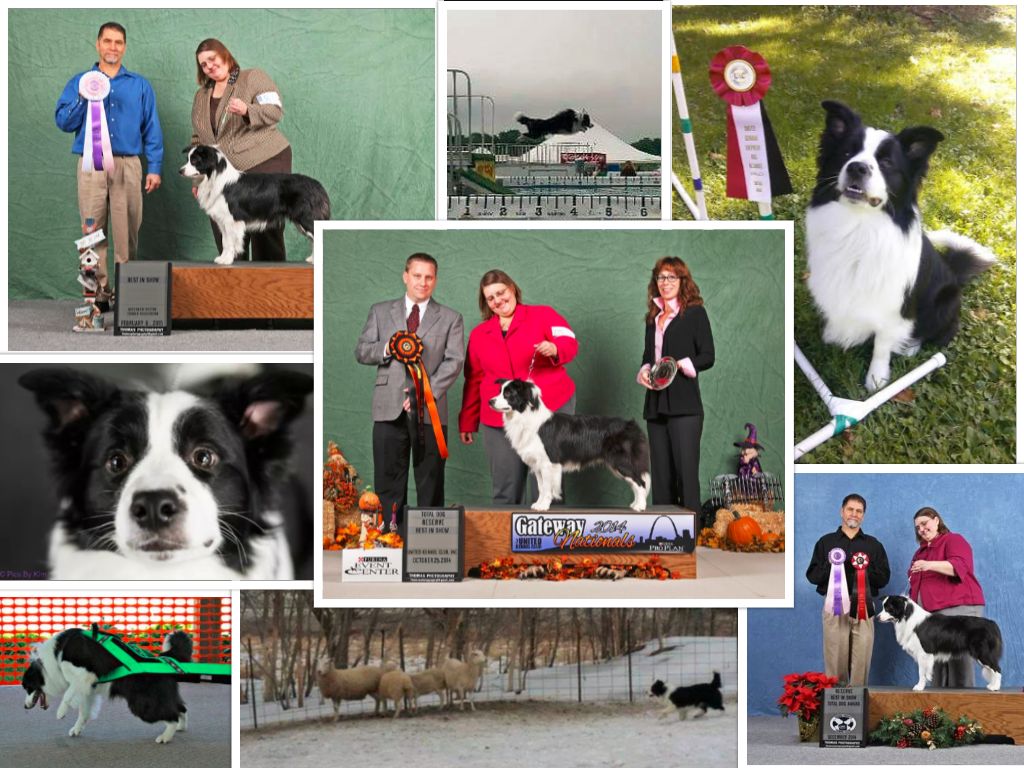 SD3 NV NI NC ROM ACD GSJCH URX2 AEGCH ET RACEN AP VPN UWPV UCD CA UACH UROG U WPCHX GRCH LOOKOUT A. SKAMFER SPOT-ON