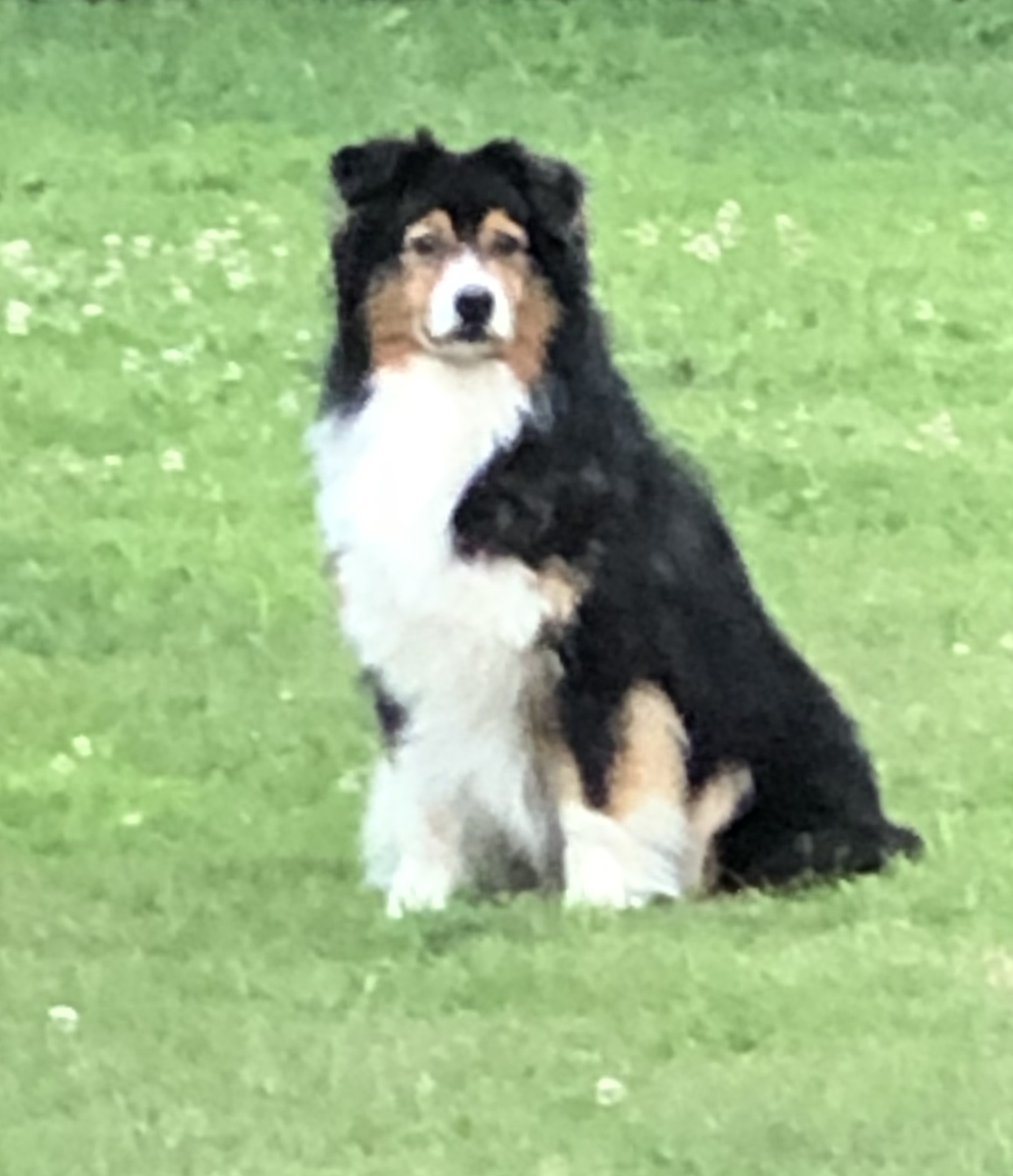 SD ROM URX USJ UWP UAGII UCDX CA GRCH UROC LJROCKING2THERYTHYMOFTHEWIND