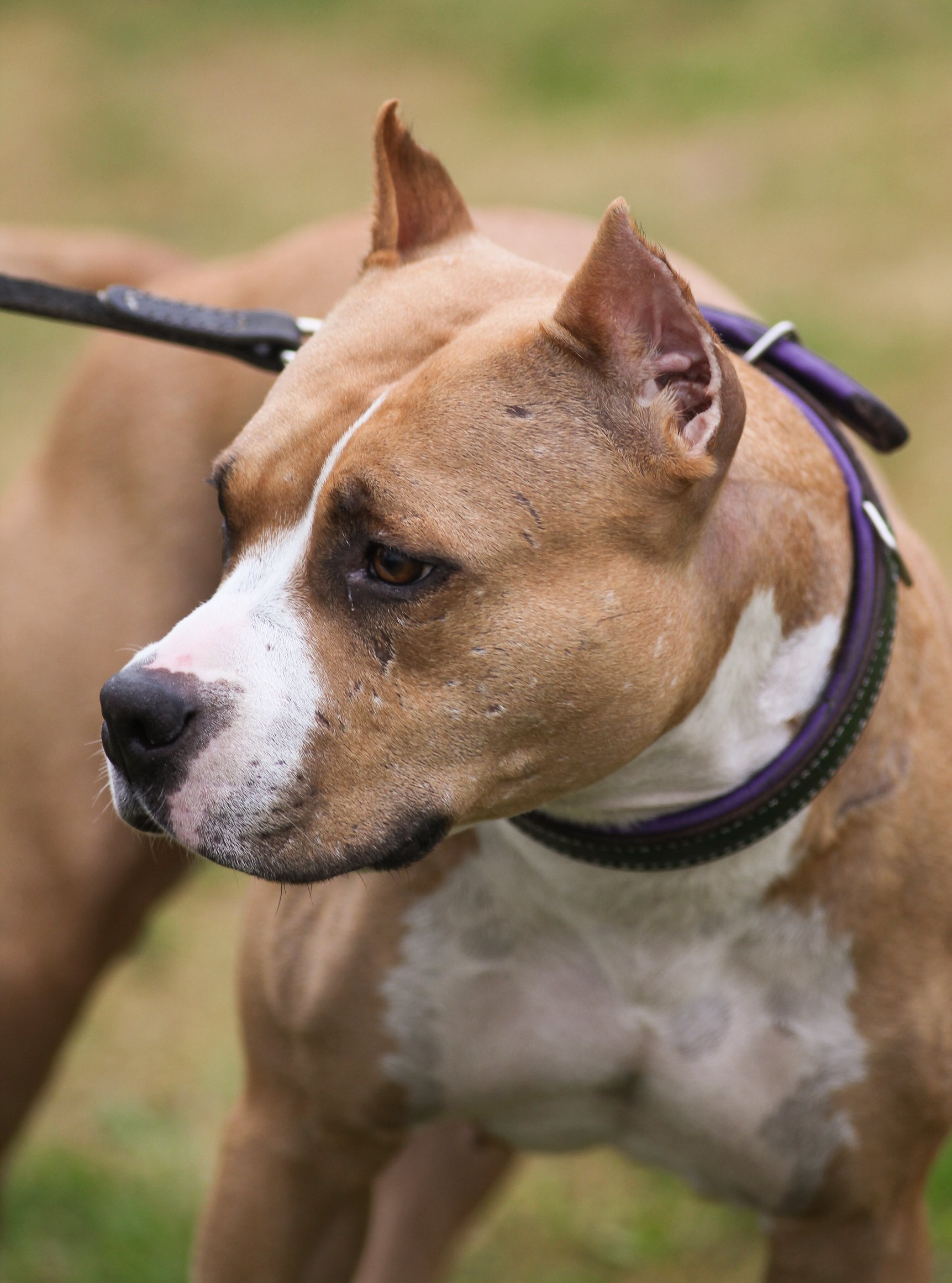 SD NI URX UROC RACEN UWPS VPE USA UFA AP6 UAGI UCDX CA RATN UNJ ROM UEWPCH GR CH BLUPRINTS LIFE OF THE PARTY SPOT-ON