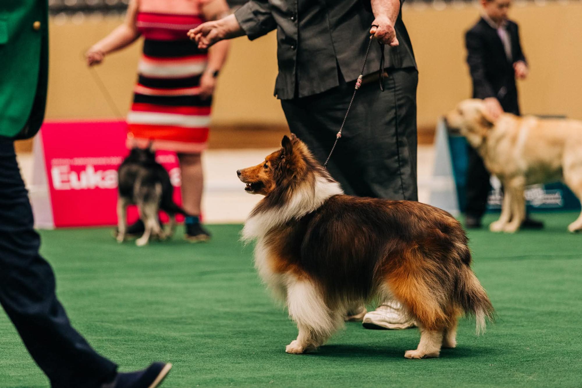 SD IA NTD2 URX RACEN ROM UWP NC UAGI UCDX ALGRCH UROC CATHANCE CAPTATION SPOT -ON