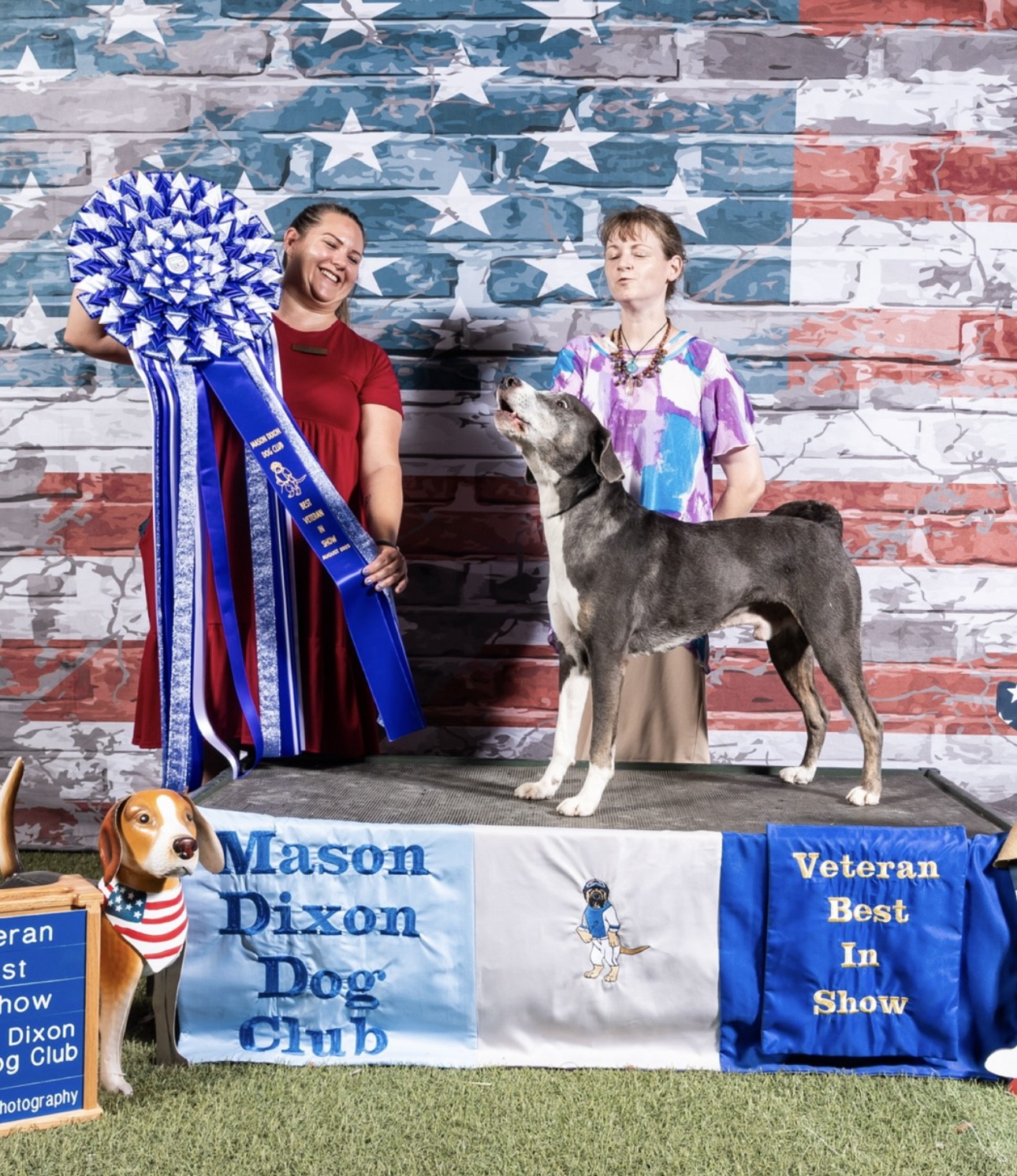 SD URX HOP RUSH ACD SPRINT UWP CA UCD UROC RGCH WALNUT RIDGE REBEL YELL SPOT- ON