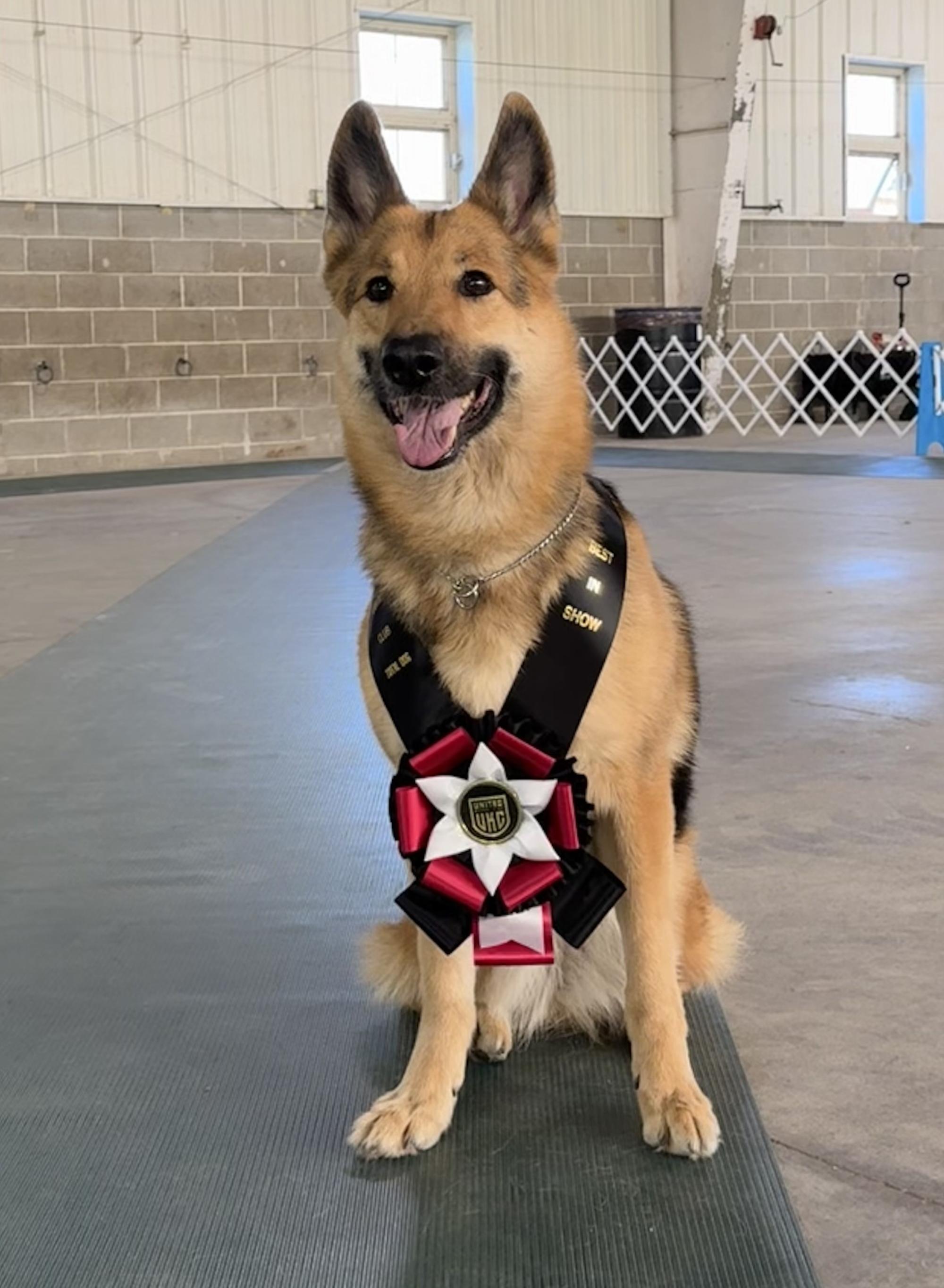 SD3 SCH EN GSJCH AEGCH JUMP FLY2 AGC RMX4 URX5 UROG UCDX NGC NT UACH UAGI RMG GRCH ATLAS' BLISSFUL FEELING SPOT-ON