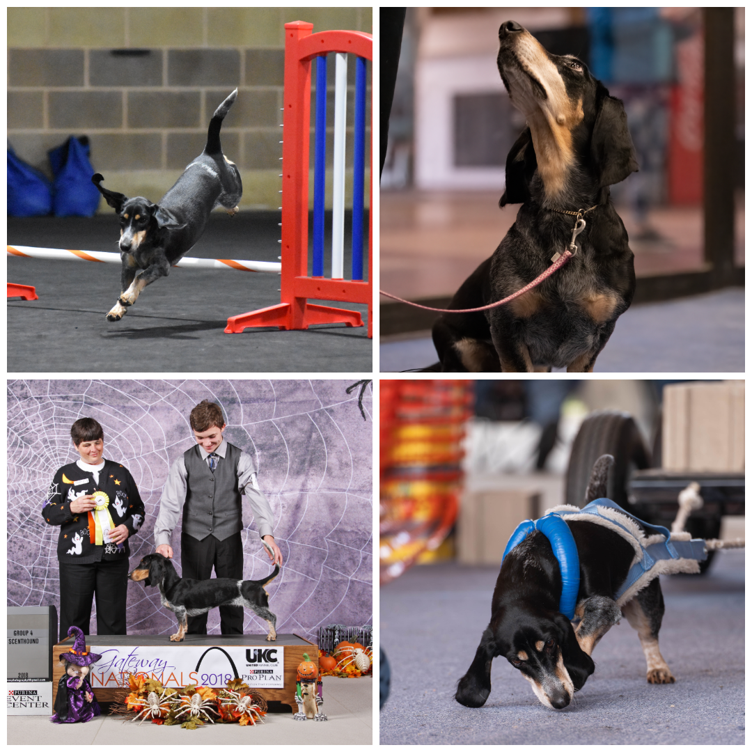 SD NN BN PN URO1 RACEN UWPO AP4 VPE USA UAGII UFA UGWPCH CH JAWDIS NOW A TRUE BLEU SKAMFER SPOT-ON