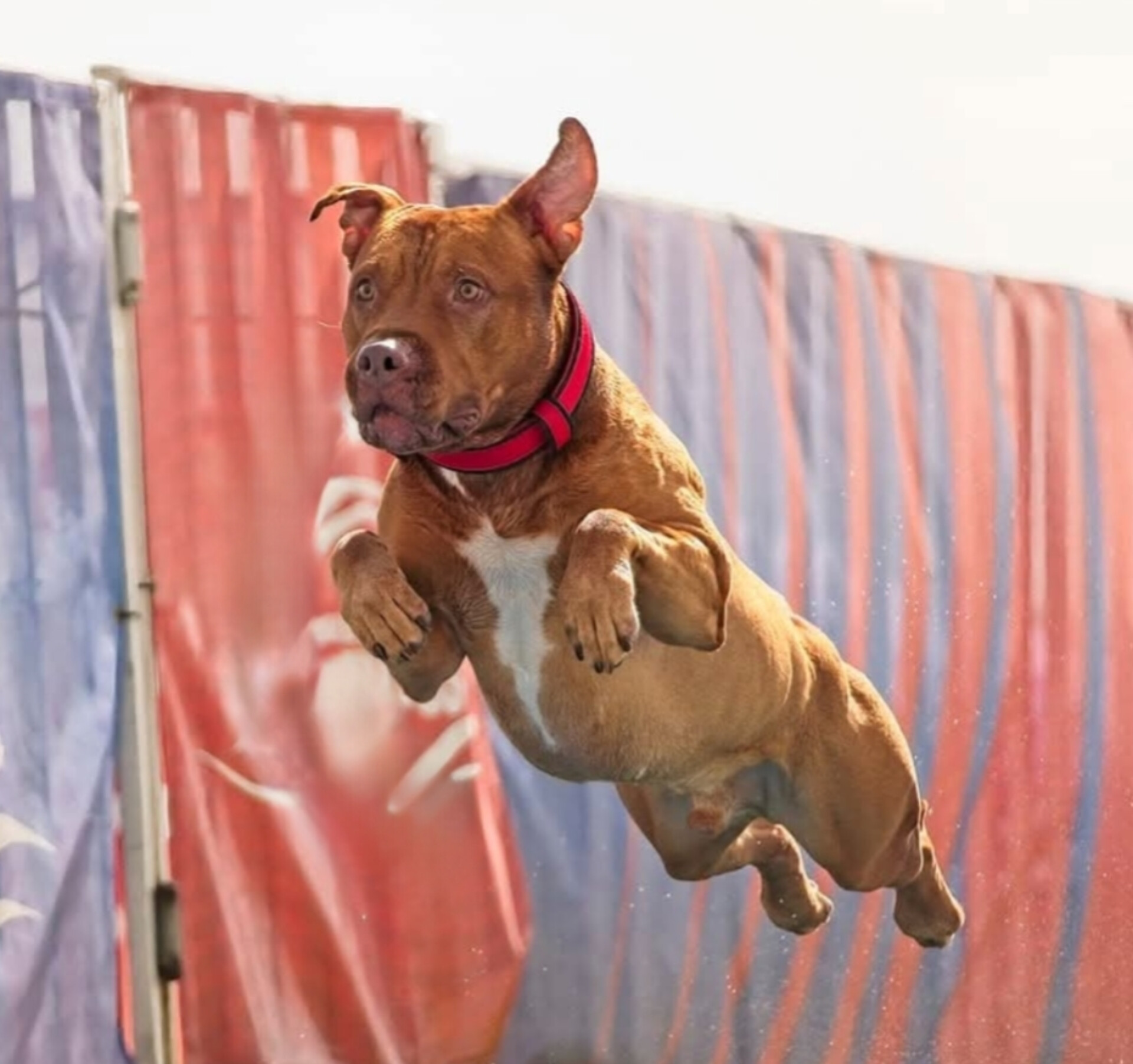 SD RACEN VPN UWPV USJ AP2 UJJ URO1 UNJ UWPCH CH CA GRAVITY'S VIGILANT OF MATR IX SPOT-ON