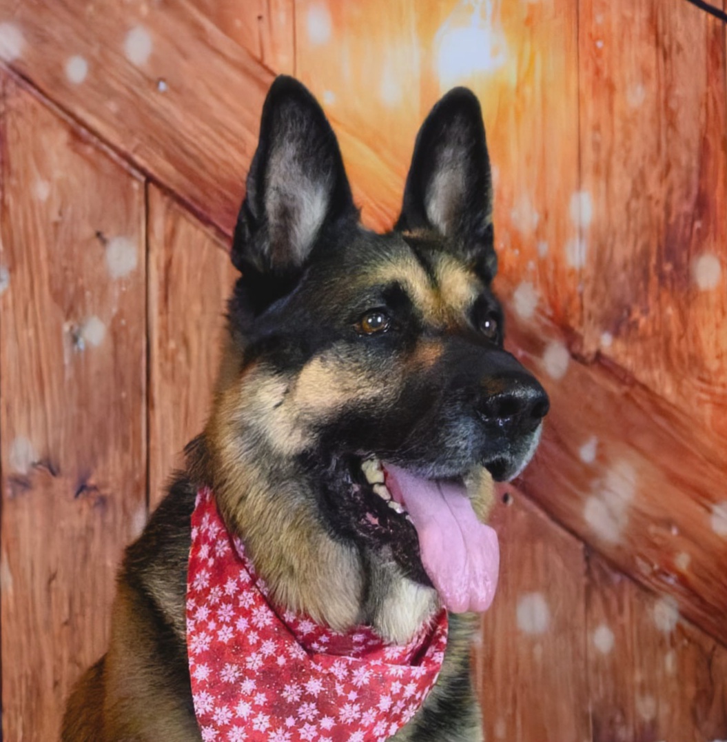 SD MCH GJJCH SCH ACH SFI NNCH UCD WSD IA EHD CH ROM EN CHER CAR'S I'M YOUR HU CKLEBERRY SPOT-ON