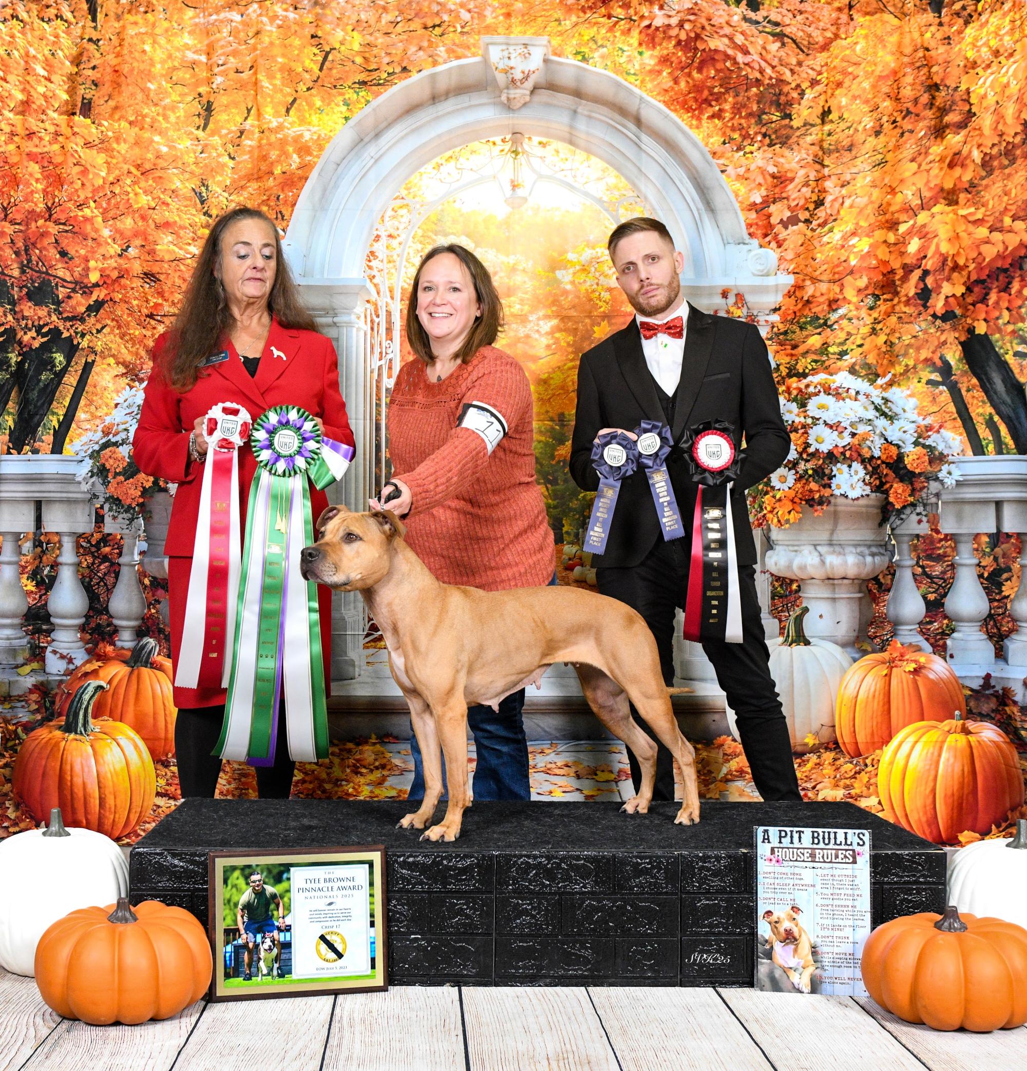 SD NC HOP DASH NTD URO1 RACEN CA AP5 VPU UWPU UEWPCH GRCH SMALLTOWN CLASSIC R EVOLVER SPOT-ON