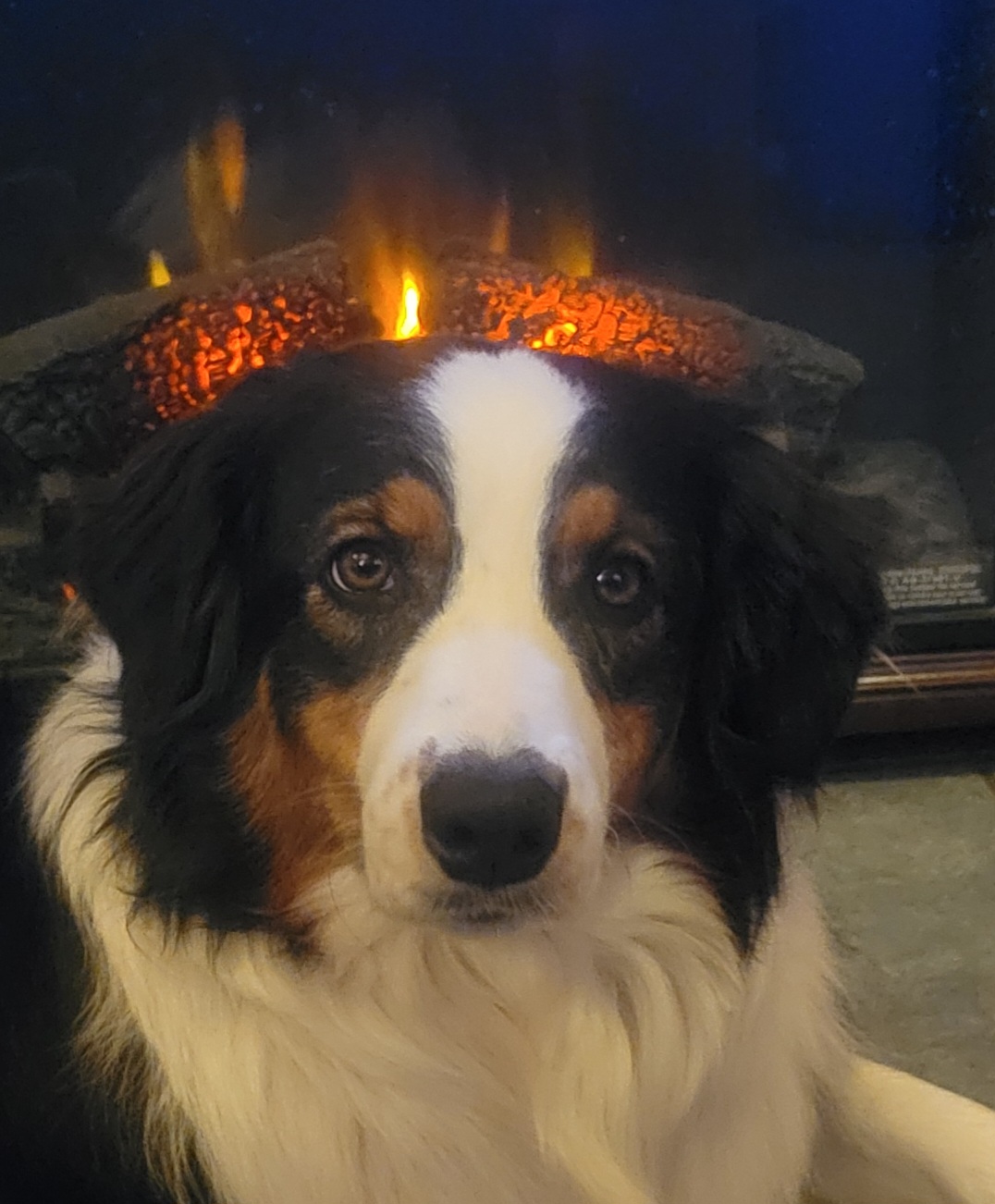 SD ALGRCH USJCH ET N3K NTD2 URX2 DASH UJJCH EN AHD NT NHE UCD UGRACH4 CH UROC  TREASURE TYME STILETTO SPOT-ON