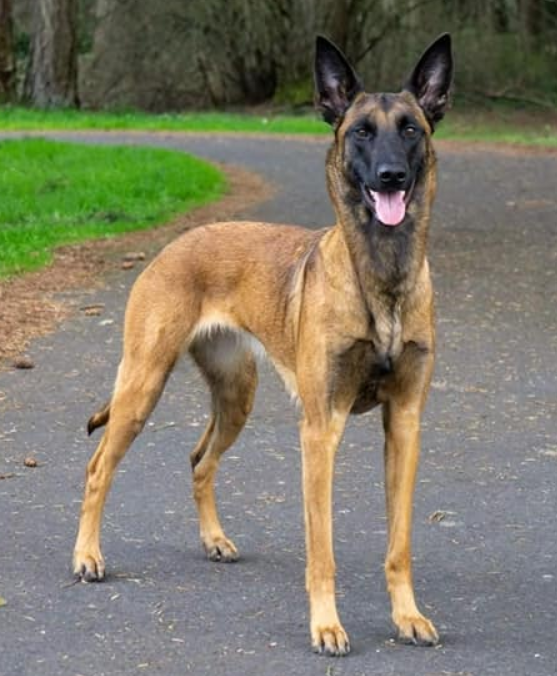 SD NH UCD BN LEAP UWPO E3K2 URO1 UACH AP3 VPA FLY UWPCHX NT RACEM PN CH ADRAS TEIA ILIO OT POLARIS SPOT-ON                                                    SD NH