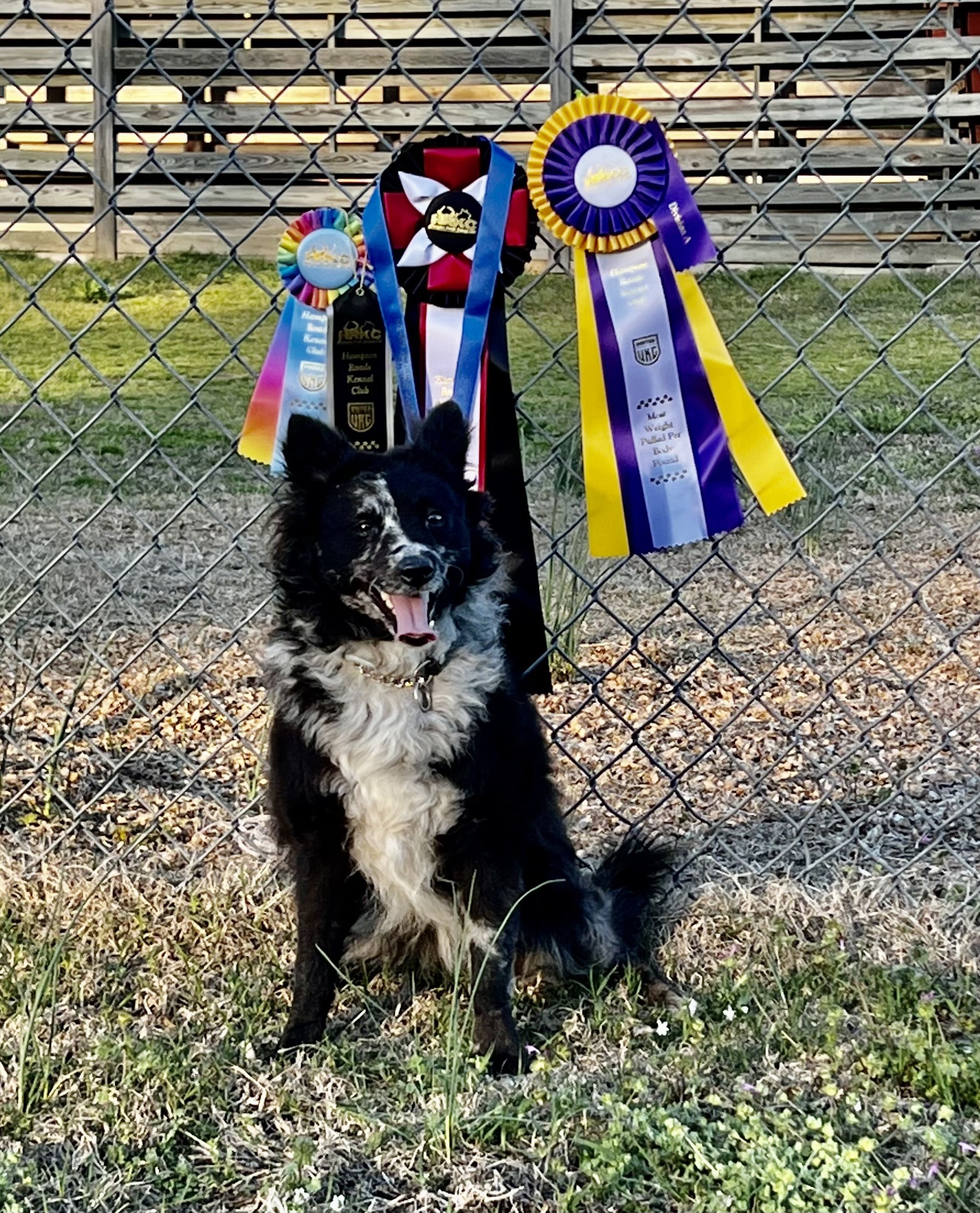 SD NN HOP CA DASH AI UWPS AP2 VPE UJJCH USJCH GRCH UWPCHX RACEM URO2 BONUM ET  MALUM CHANCE SPOT