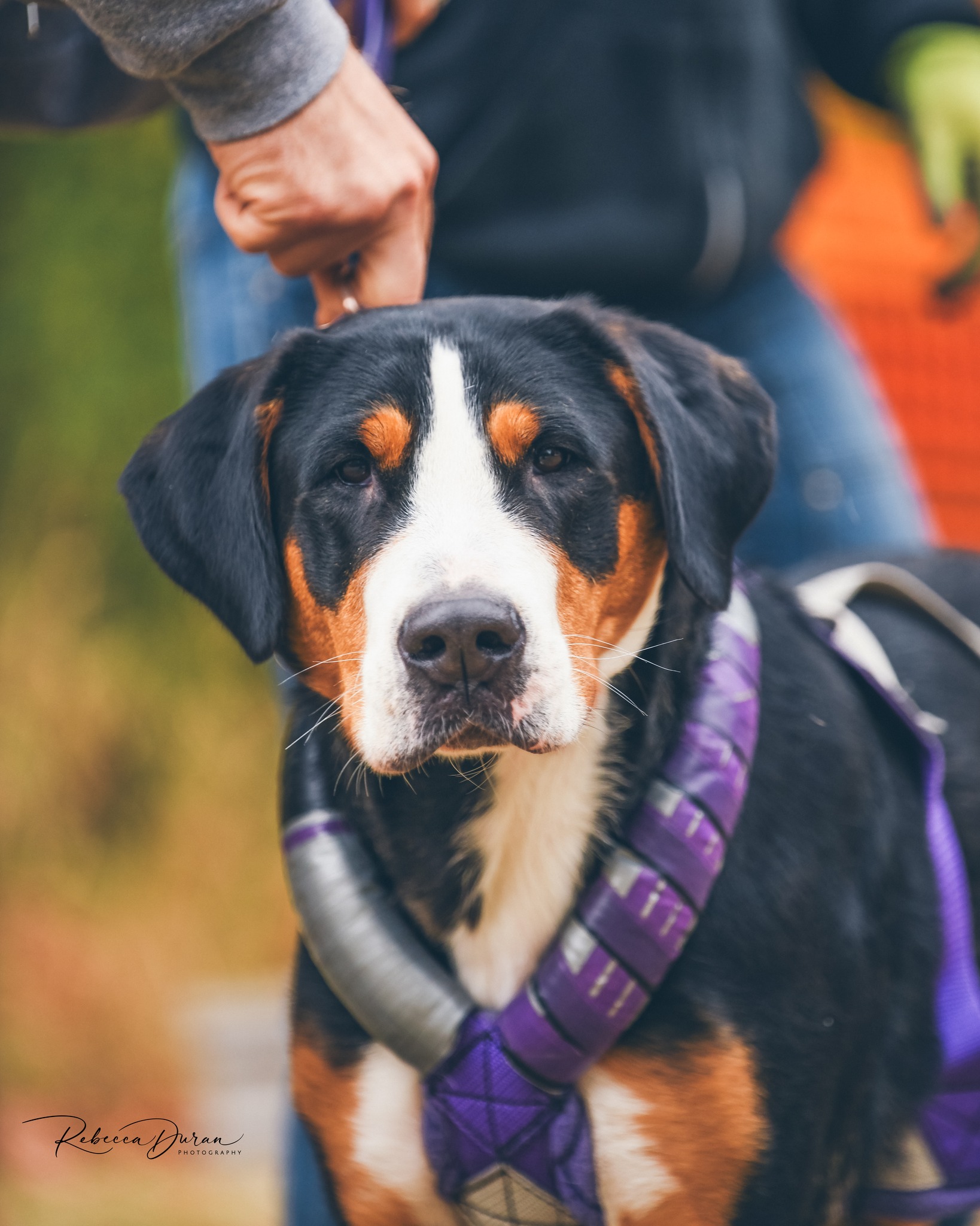 SD UWPO HOP DASH URO2 PN GNJCH SN AP4 VPE CH UWPCHX DAHLGREN'S SHE'S A HOT GR ANDMA