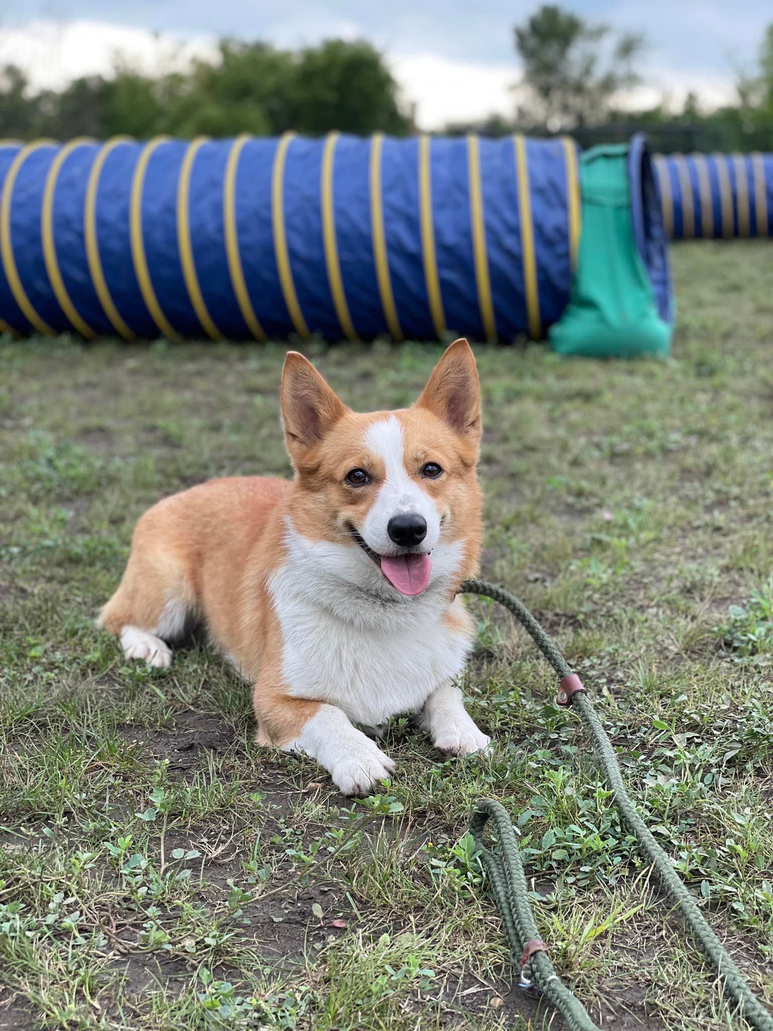 SD3 ACD WSD MCH UWPV BN RMX2 URX3 EN UROG AGC LEAP RUSH UCDX NGC RMC AP3 VPA  UNSR UWPCH UNFR SNGC GNJCH NT UACH HORSKIS UPS AND DOWNS SPOT-ON