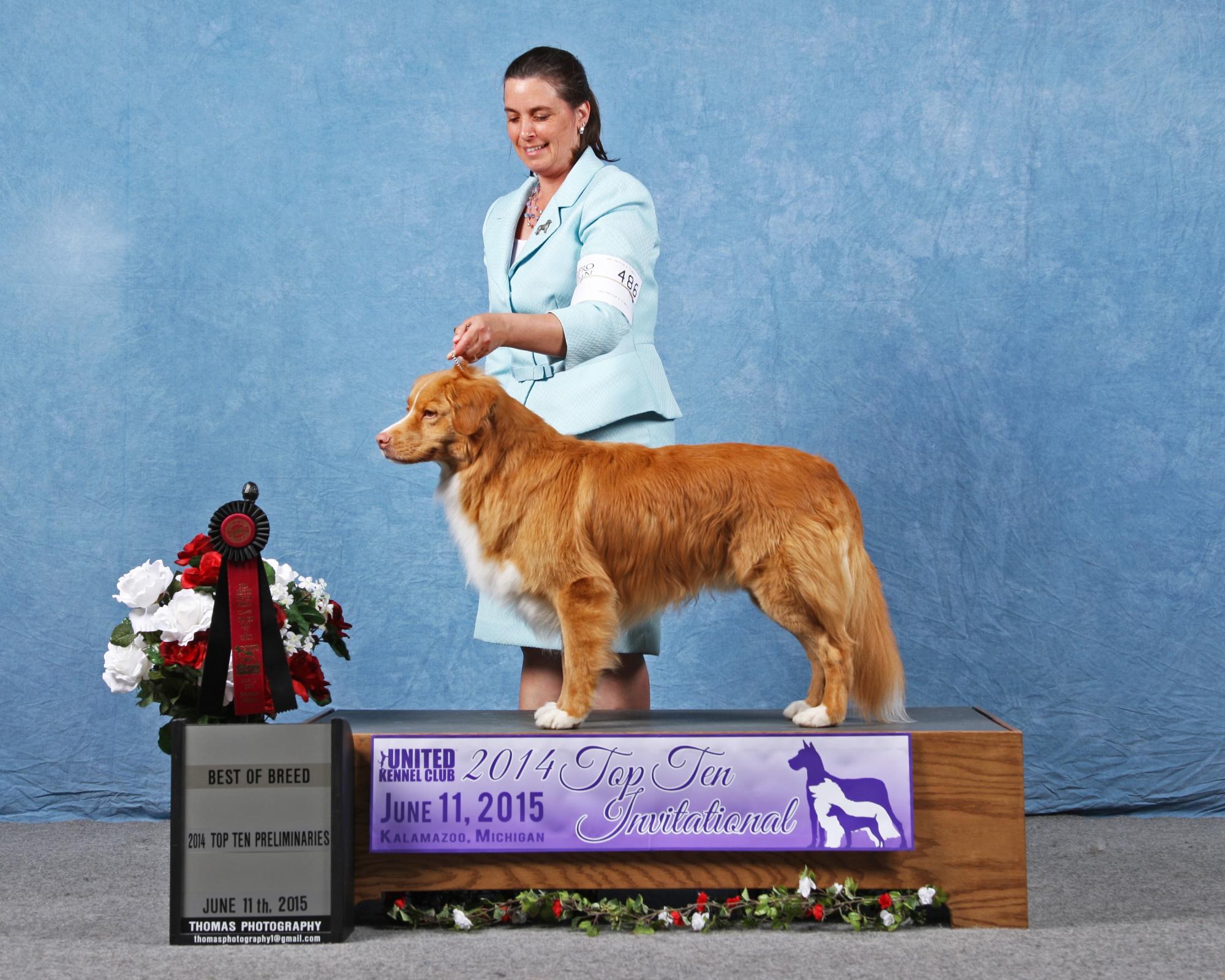 SD2 CA URX SHR UJJ UCDX UACHX UWPCH UROC GRCH REDLEAF'S DIABLO ROJO