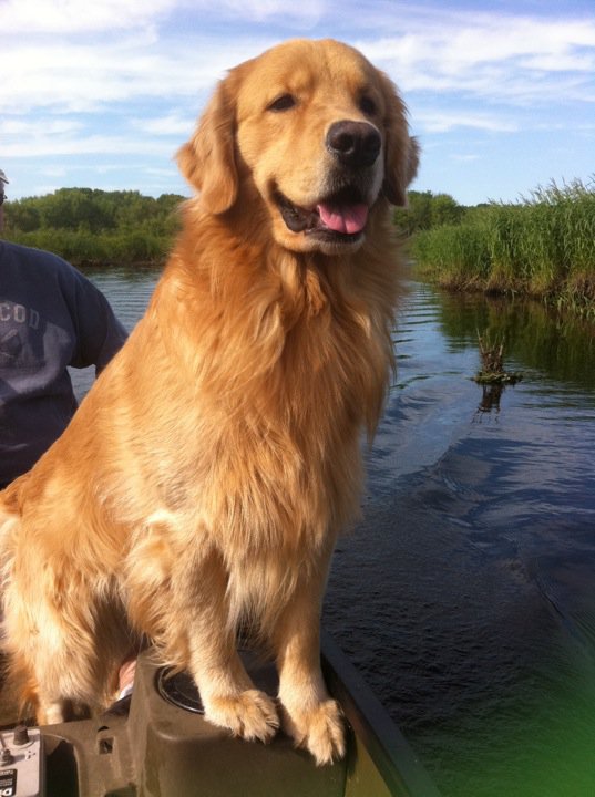 SD2 UNJCH AP5 VPU AC AHD AV PTE UAGII UWPS URX12 UEWPCH UCDX GRCH UROG SHORLI NE PUT THE LIME NDA COCO SPOT-ON