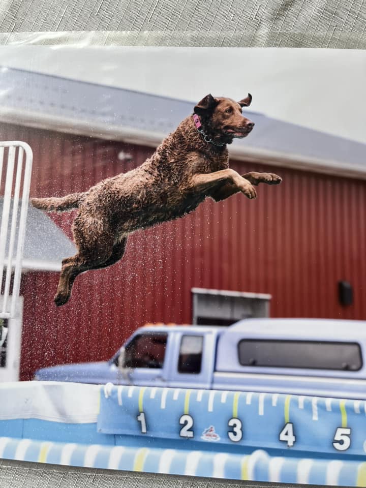 SD USJCH PN RACEN CHSD SHR URX UROC UAGI CA EGCH RATN SAND SPRING OUTLAW SPOT -ON                                                                                 SD US