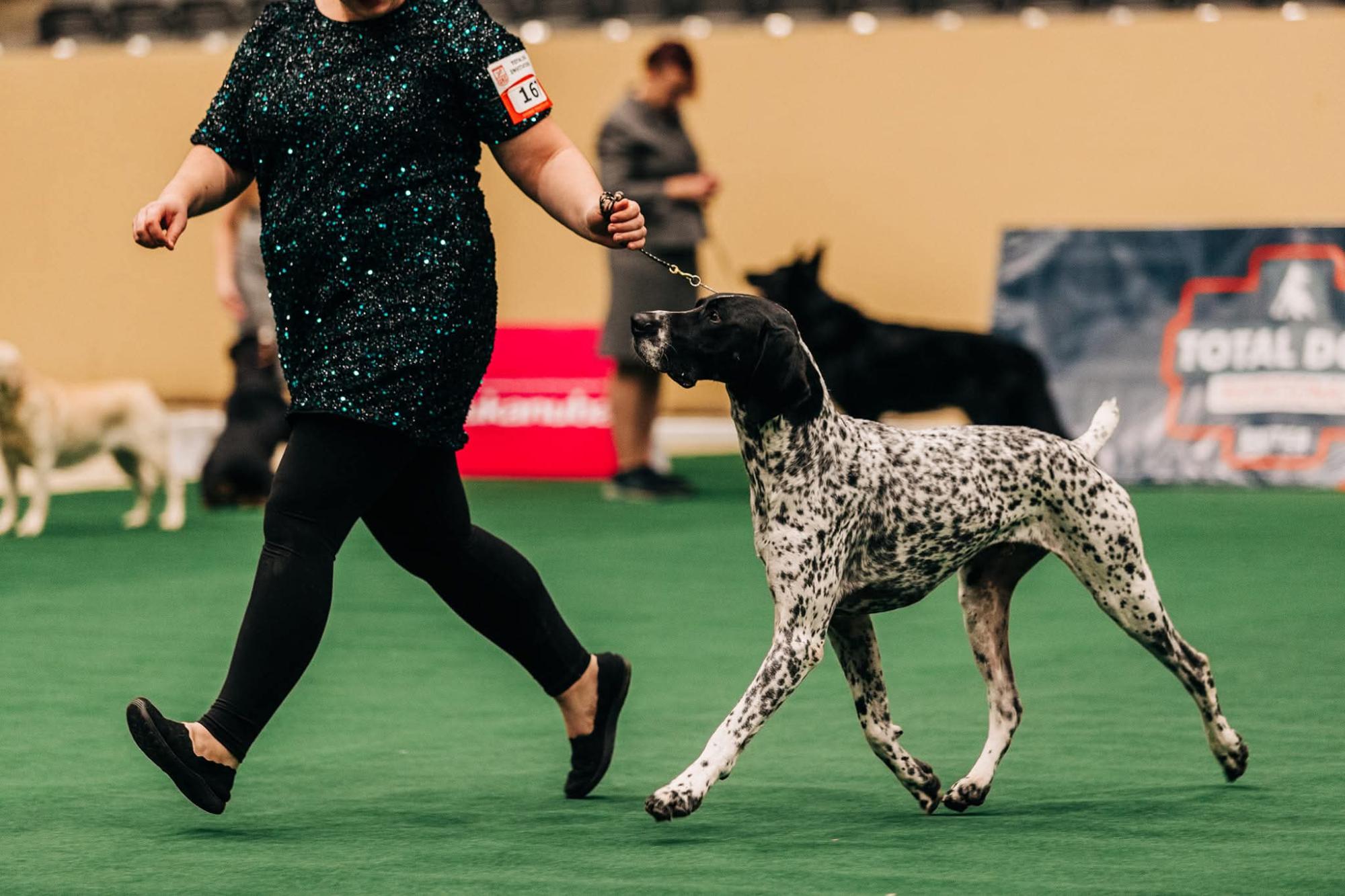 SD2 NTD BN ALGRCH VPN PN AP SE USJ EHD AN SC RATO UWPCH ROM UJJ CH CAX BNJ OR DINARY HERO SPOT