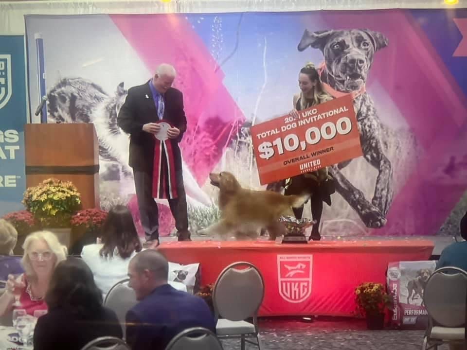 SD4 SI MC SE GJJCH FLY RMX2 URX2 RACEE UROG UWPS ACD NTD4 RMG AN SHR AP8 VPU  PTE NHD UCDX UGWPCH CA GRCH SHOR'LINE BONDI BEACH SPOT-ON