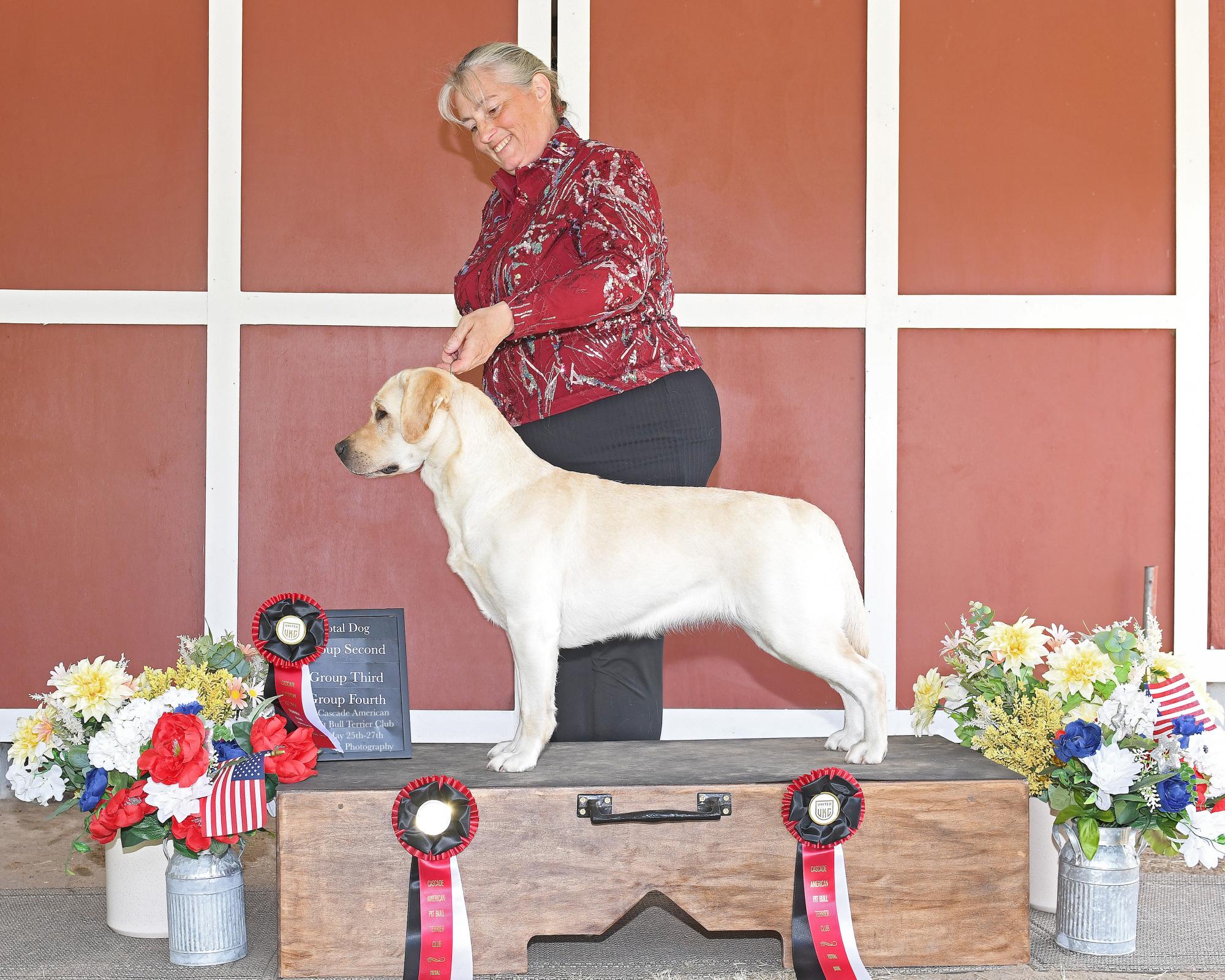 SD2 NTD LEAP ACH USJCH AHD BA WSD NNCH UJJCH FLY UWPS VPE AP10 UEWPCH URO3 SP RINT CAX RATN EGCH SUNDOG DON'T CALL ME NYMPHODORA SPOT-ON