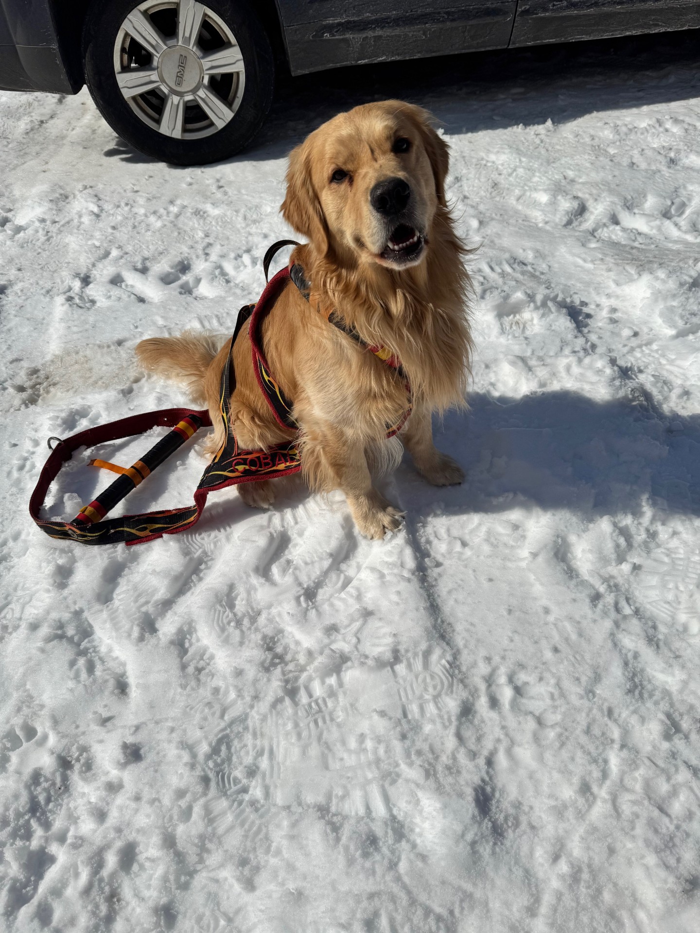 SD2 SC UROC AN NHD USJ UWPV IA ACD NTD AP2 VPA UCDX FLY RACEM UWPCH UJJ GRCH  SI UNJ RMC JETOCA'S CALL ME FRIEND SPOT-ON