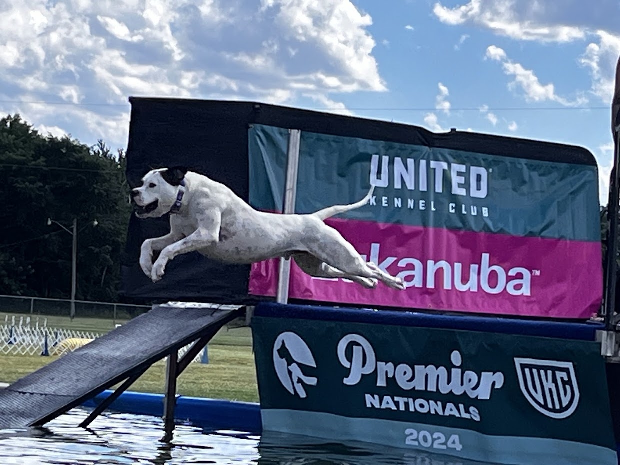 SD4 SN UJJCH UWPV EI EC AP5 VPE USJCH NBOB NTD4 NGC JUMP UWPCHX AGC RUSH RMX2  DGCH CA URX3 UROG RACEA UCDX RMG'PR'HD'S ZENFUL ZIGMUND SPOT-ON