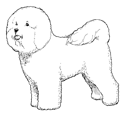 UKC Breed Standards: Bischon Frise