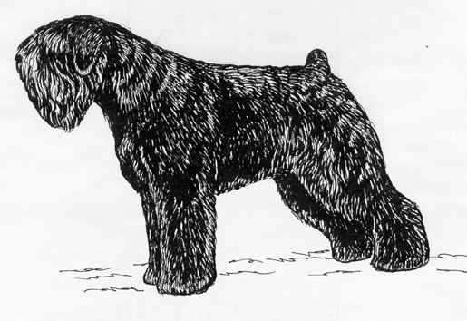 Black Russian Terrier Grooming Chart