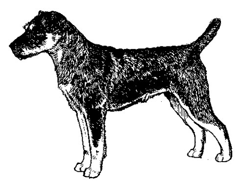 UKC Breed Standards: Jagdterrier